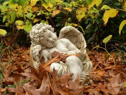 Daily Reading - Falling Angel