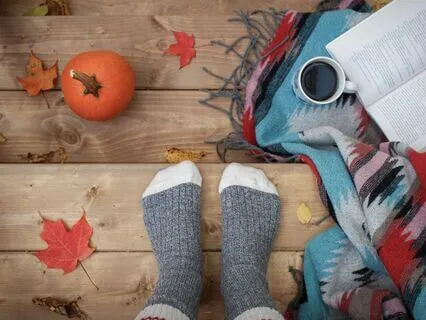 Daily Reading - Fog & Sage - Autumn - Bounty & Balance