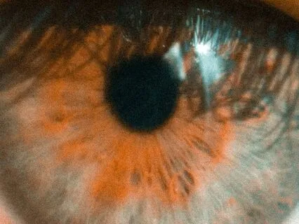 Daily Reading - Grandmother Ocean