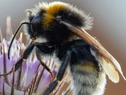 Daily Reading - Great And Full