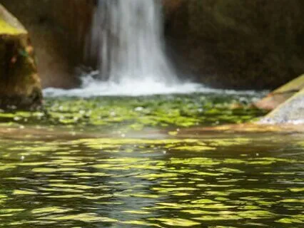 Daily Reading - Healing Waters Of Mintaka