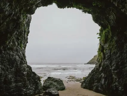 Daily Reading - Hidden Treasure