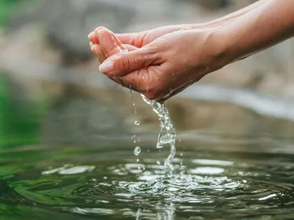 Daily Reading - Holy Water