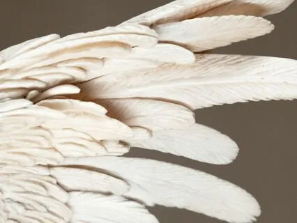 Daily Reading - Ivory Wish Fulfilling Crow