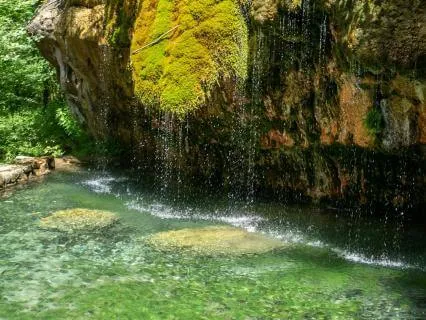 Daily Reading - Lemeurian Seed Codes