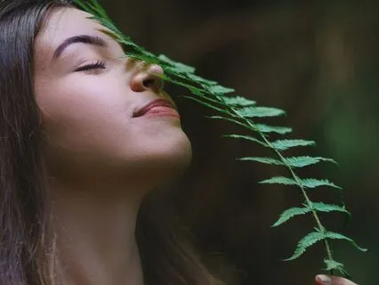 Daily Reading - Life Force