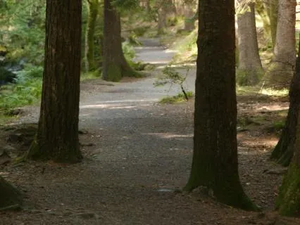 Daily Reading - Look At The Bigger Picture