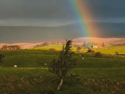 Daily Reading - Luck Is On Your Side