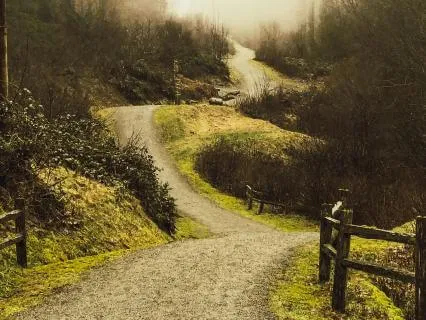 Daily Reading - Many Paths