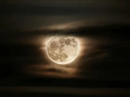 Daily Reading - Moonlight