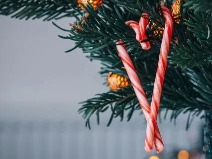 Daily Reading - Page Of Canes