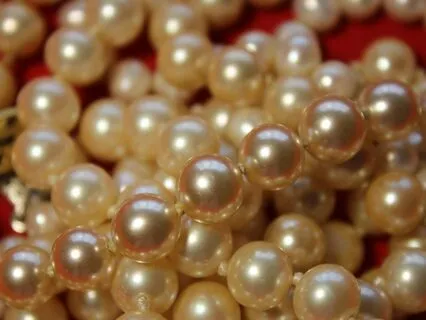 Daily Reading - Pearls Of Sharro