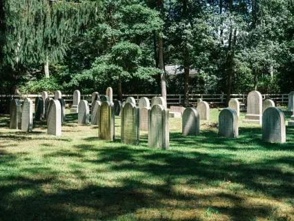 Daily Reading - Receive Love From The Other Side