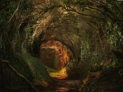 Daily Reading - Sacred Earth Mother
