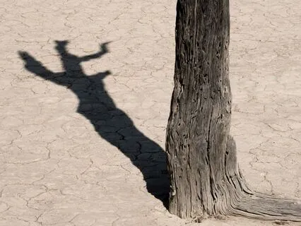 Daily Reading - Scarcity And Chamber Of Protection IV