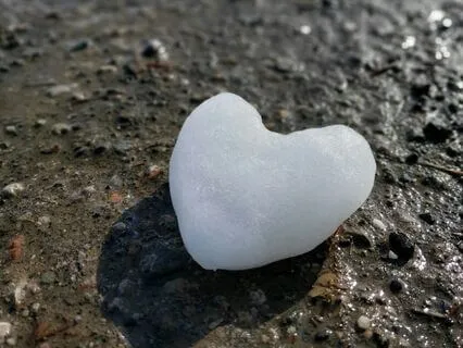 Daily Reading - Seraph Of 963 Hz