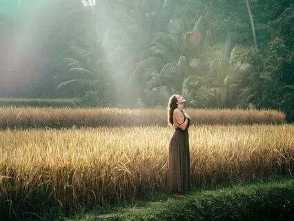 Daily Reading - Shaktipat Of The Seahorse III