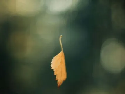 Daily Reading - Six Of Wands - Reversed