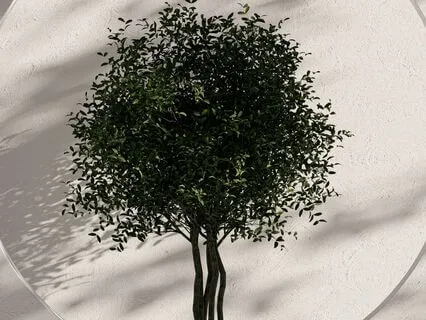 Daily Reading - Smoke And Mirrors