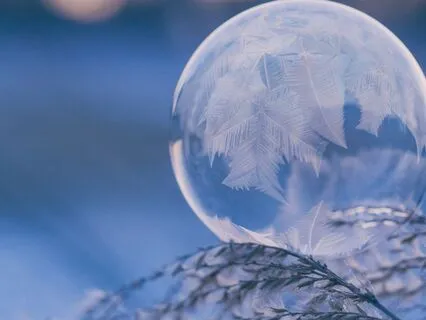 Daily Reading - Snow - Rest, Contemplation