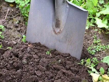 Daily Reading - Soil - Stability, Simplicity