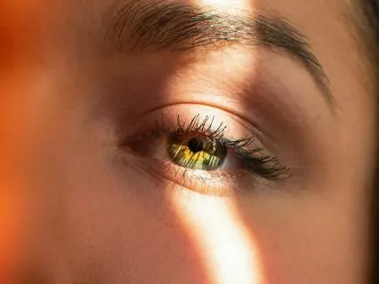 Daily Reading - Temple Of Truth II