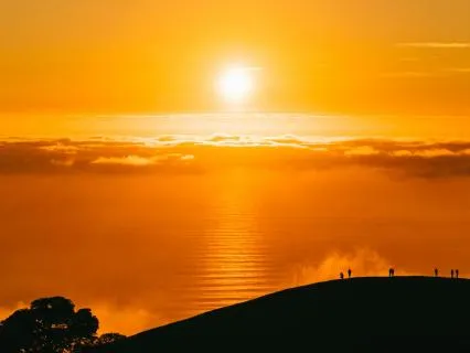 Daily Reading - The Central Sun