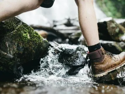 Daily Reading - The Crossing