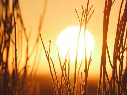 Daily Reading - The Sun