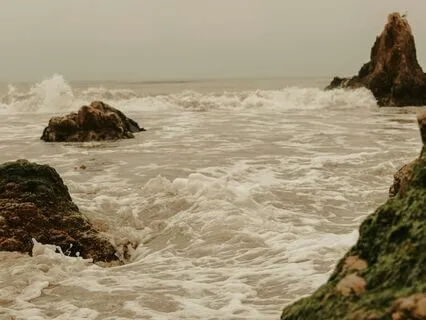 Daily Reading - The Uncharted Sea