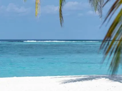 Daily Reading - Treasure Island IV