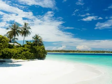 Daily Reading - Treasure Island