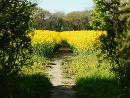 Daily Reading - Unmarked Trail