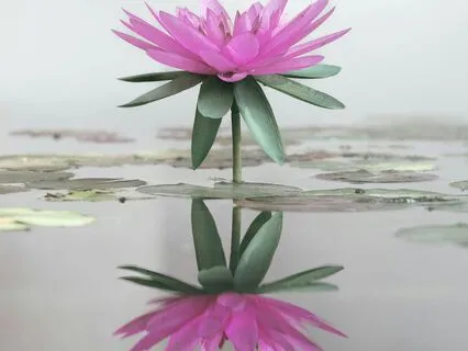 Daily Reading - Water Codes