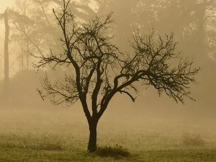 Daily Reading -XIII Death (Reversed) 3 Of Gifts (Reversed)