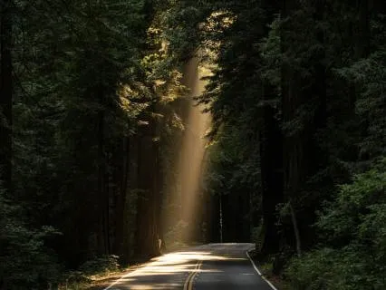 Daily Reading - You, Who Show The Way IV