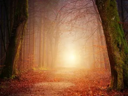 Daily Reading - You, Who Show The Way