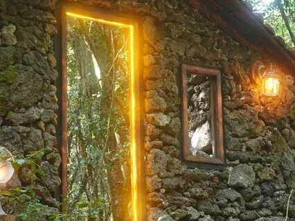 Daily Reading - Your Portal Of Light Shines