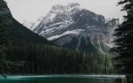  Daily Reflection January 2 - First, The Foundation