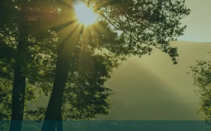 Daily Reflection January 5 - Total Acceptance