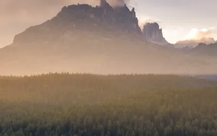 Daily Reflection January 6- The Victory Of Surrender