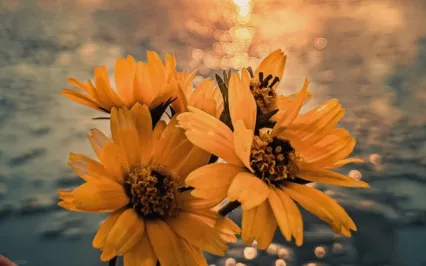 Daily Reflection January 7- At The Turning Point