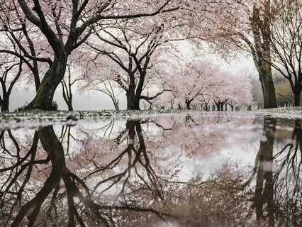 Daily Reflection Technique