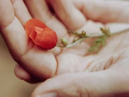 Daily Remembrances For Wholeness - What Remains Of Us?