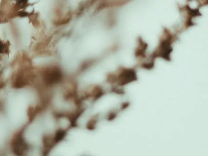 Daily Reset: Abundance Mindset (7 Minutes)