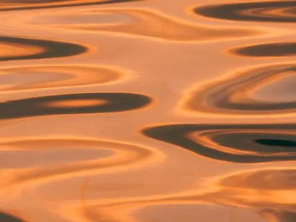 Daily Reset: Emotional Clarity (8 Minutes)