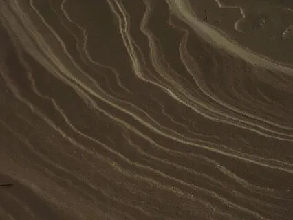 Daily Reset: Ground Your Mind (5 Minutes)