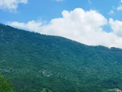 Daily Reset Protocol: Stress Hormone Neutralization