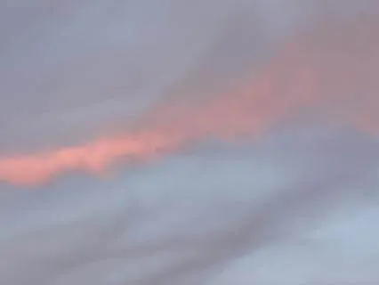 Daily Return And Reset