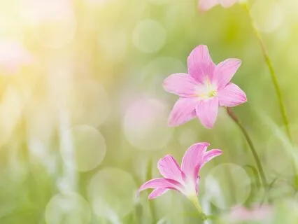 Daily Self-Worth And Self-Love Affirmation Meditation